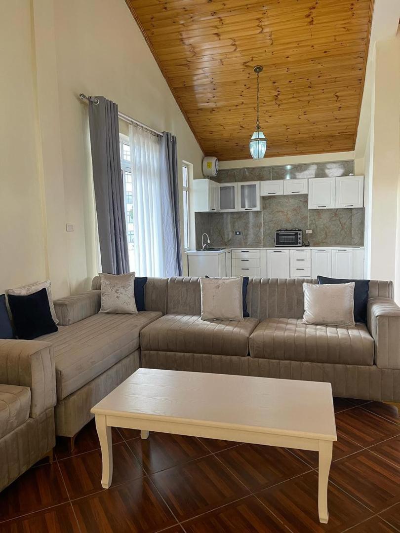 Social House Bed and Breakfast Αντίς Αμπέμπα Εξωτερικό φωτογραφία