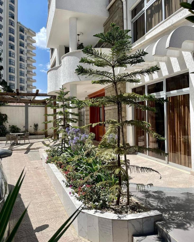 Social House Bed and Breakfast Αντίς Αμπέμπα Εξωτερικό φωτογραφία